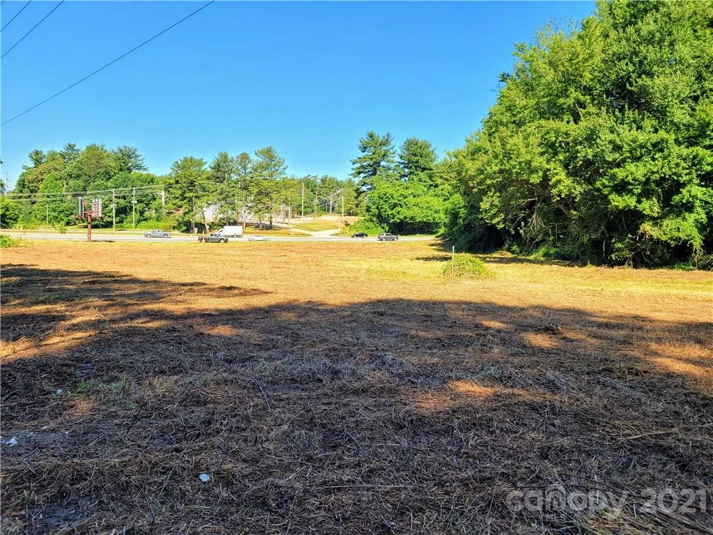 99999 Hendersonville Road - Photo 12