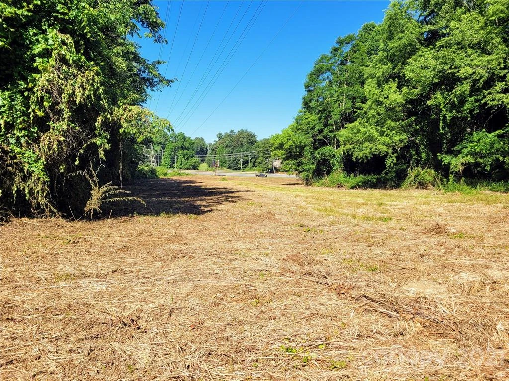 99999 Hendersonville Road - Photo 10