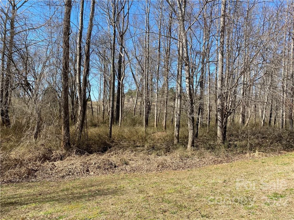 000 Bridge Lane #42 - Photo 3