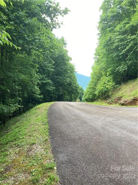 1161 Standing Deer Trace #130 - Photo 14