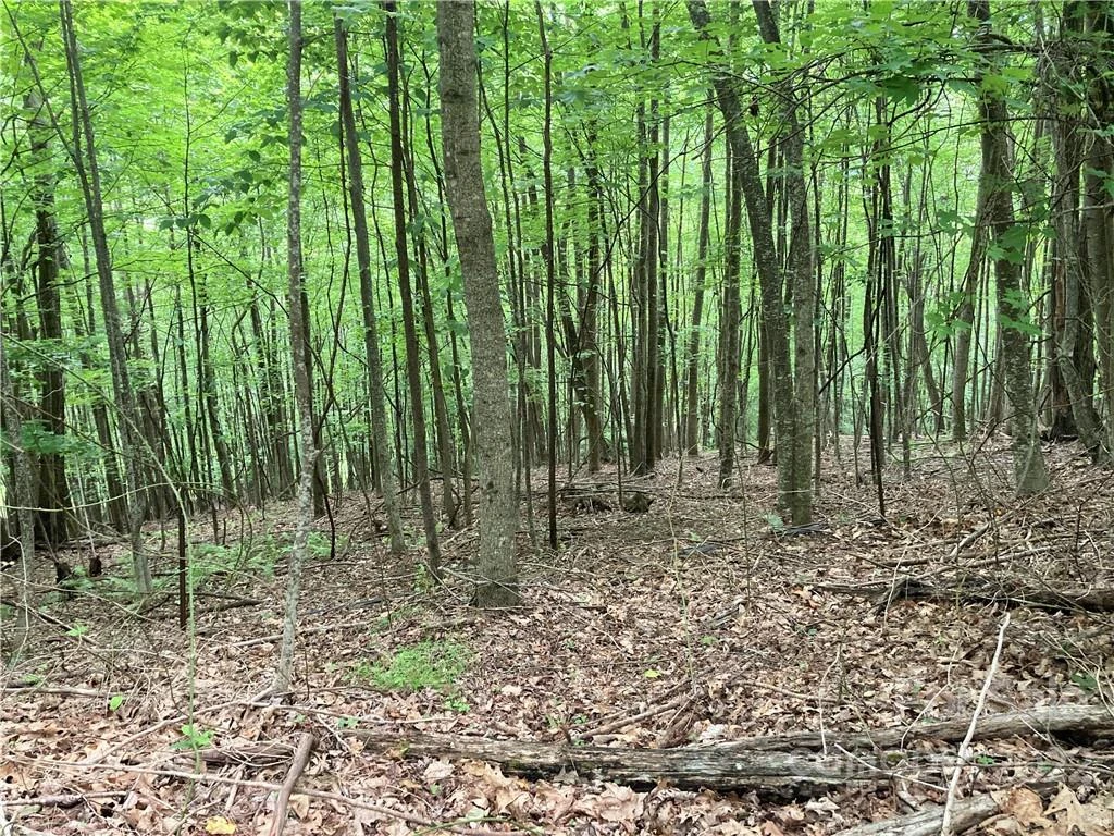 1161 Standing Deer Trace #130 - Photo 18