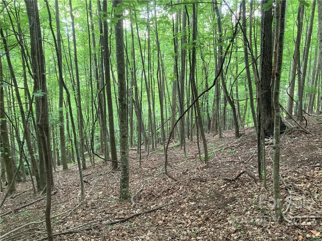 1161 Standing Deer Trace #130 - Photo 19