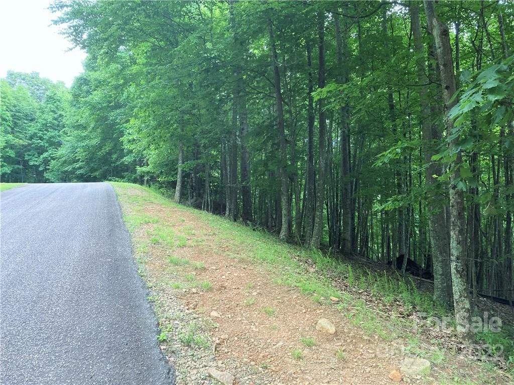 1161 Standing Deer Trace #130 - Photo 9