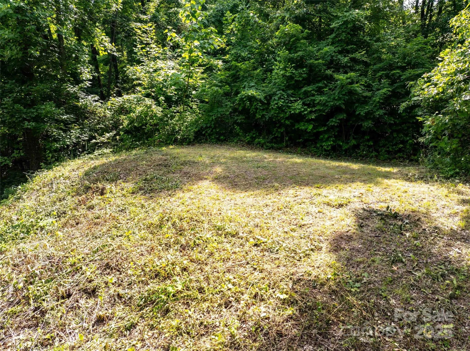 2957 Creston Drive - Photo 2