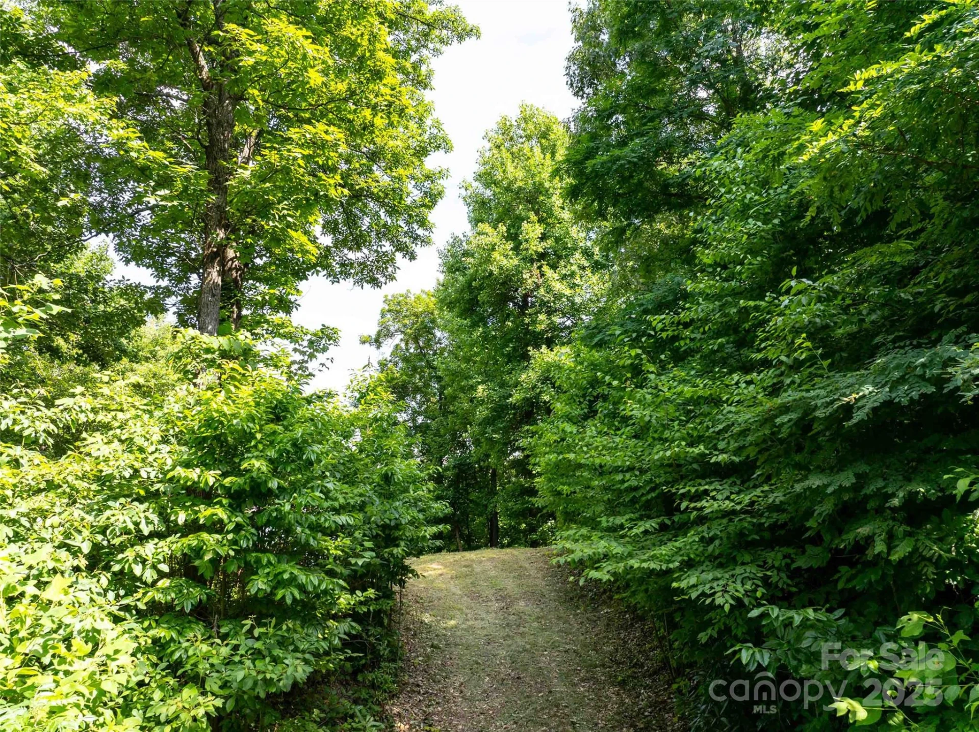 2957 Creston Drive - Photo 23
