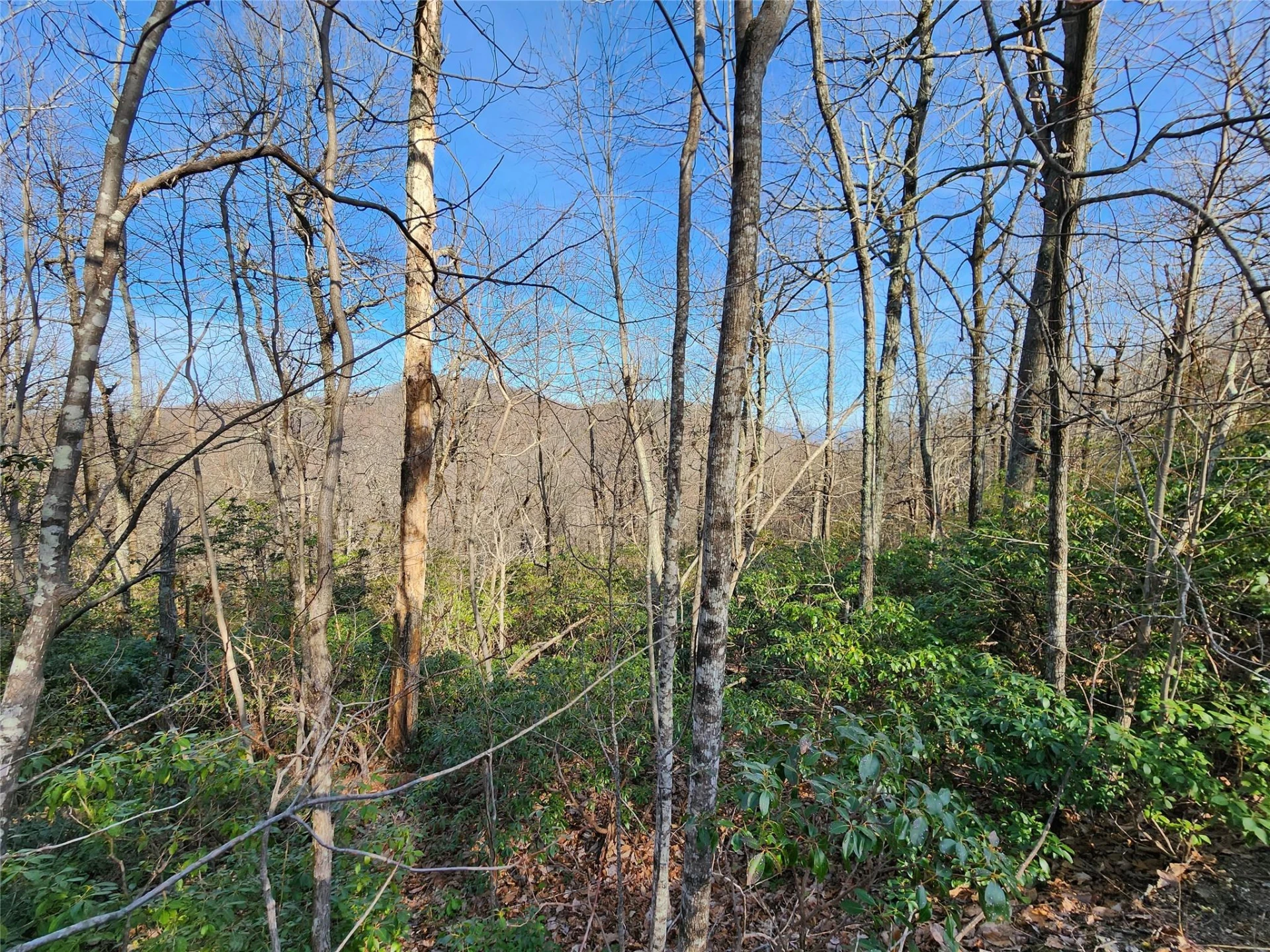 Lot 22 Sunset Ridge Drive #22