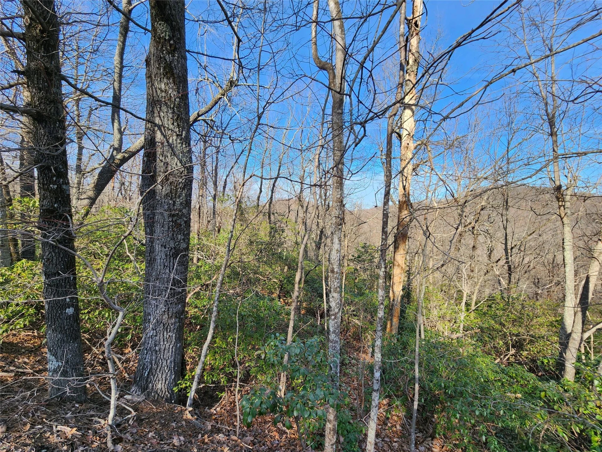 Lot 22 Sunset Ridge Drive #22 - Photo 2