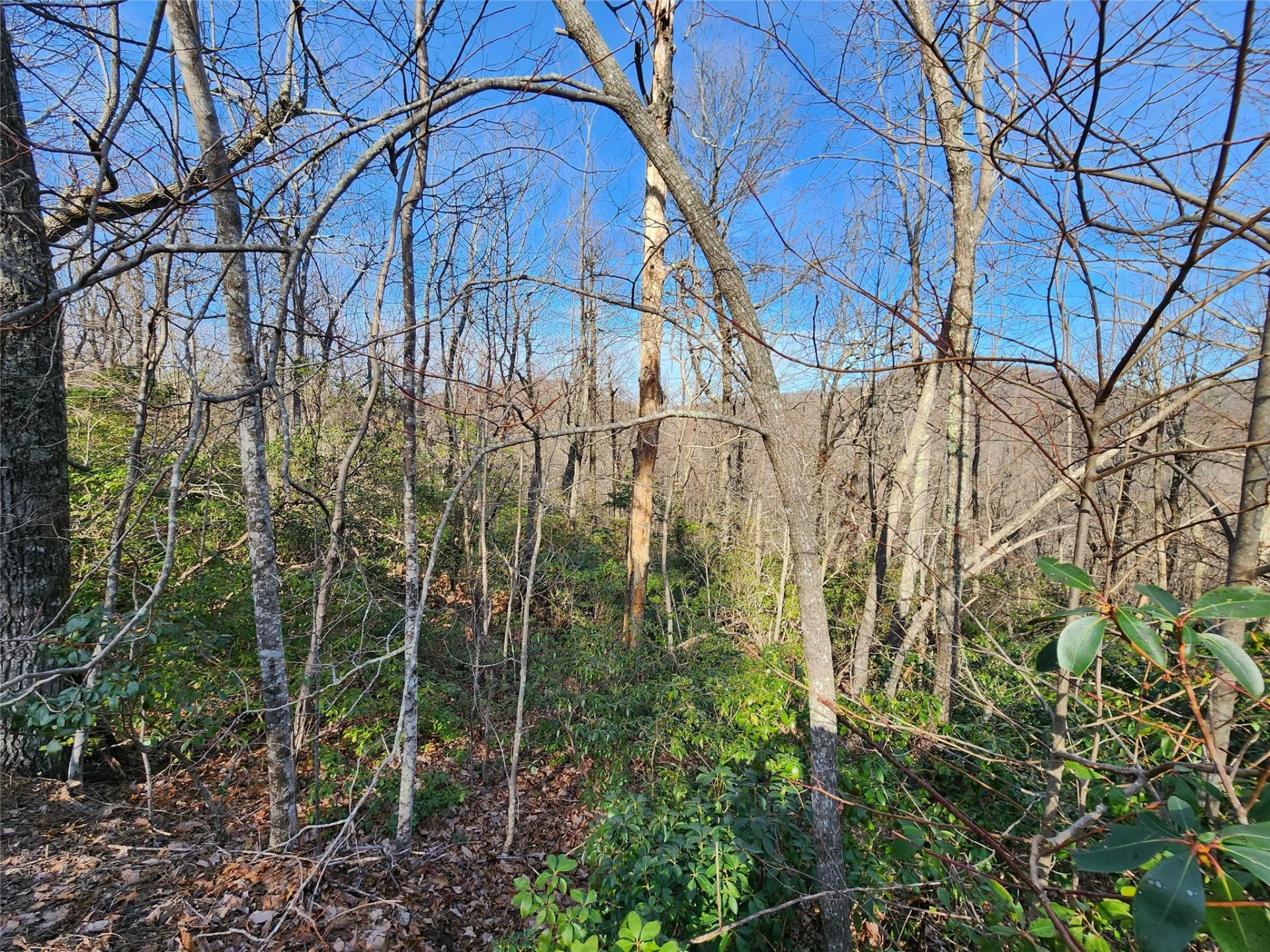 Lot 22 Sunset Ridge Drive #22 - Photo 3