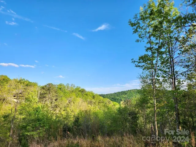 391 Red Fox Trail