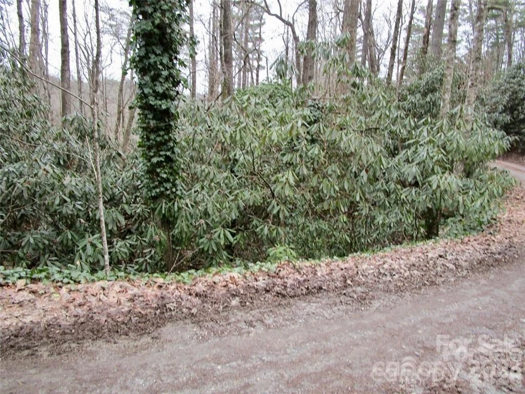 Lot #21 Toxaway Falls Drive - Photo 2