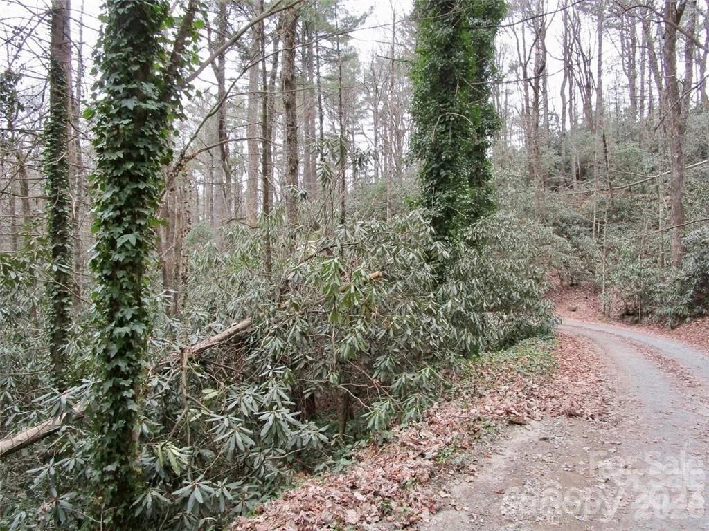 Lot #21 Toxaway Falls Drive - Photo 5