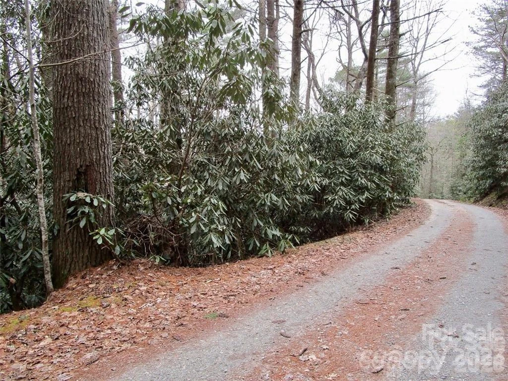 Lot #21 Toxaway Falls Drive - Photo 6