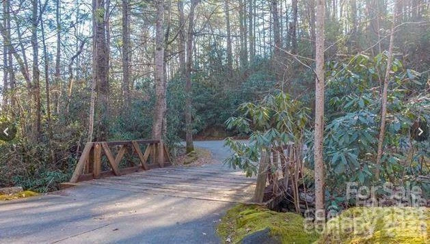 Lot #21 Toxaway Falls Drive - Photo 11