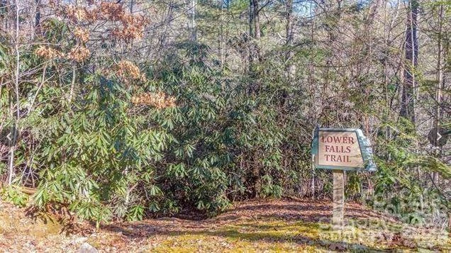 Lot #21 Toxaway Falls Drive - Photo 15