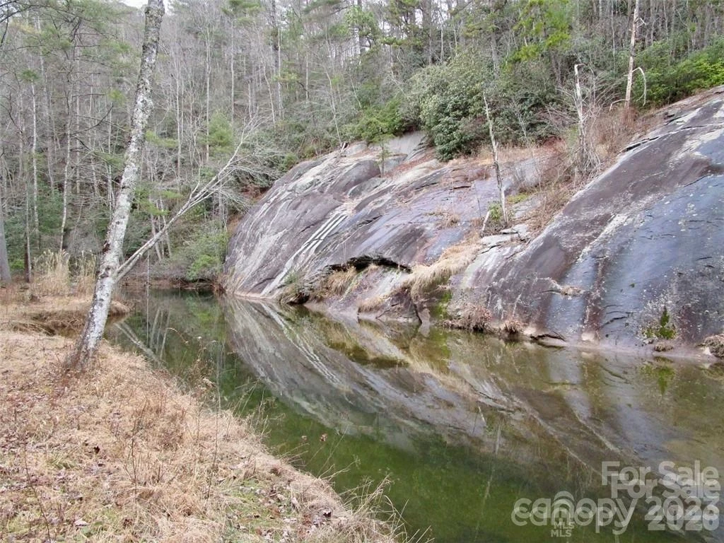 Lot #21 Toxaway Falls Drive - Photo 19