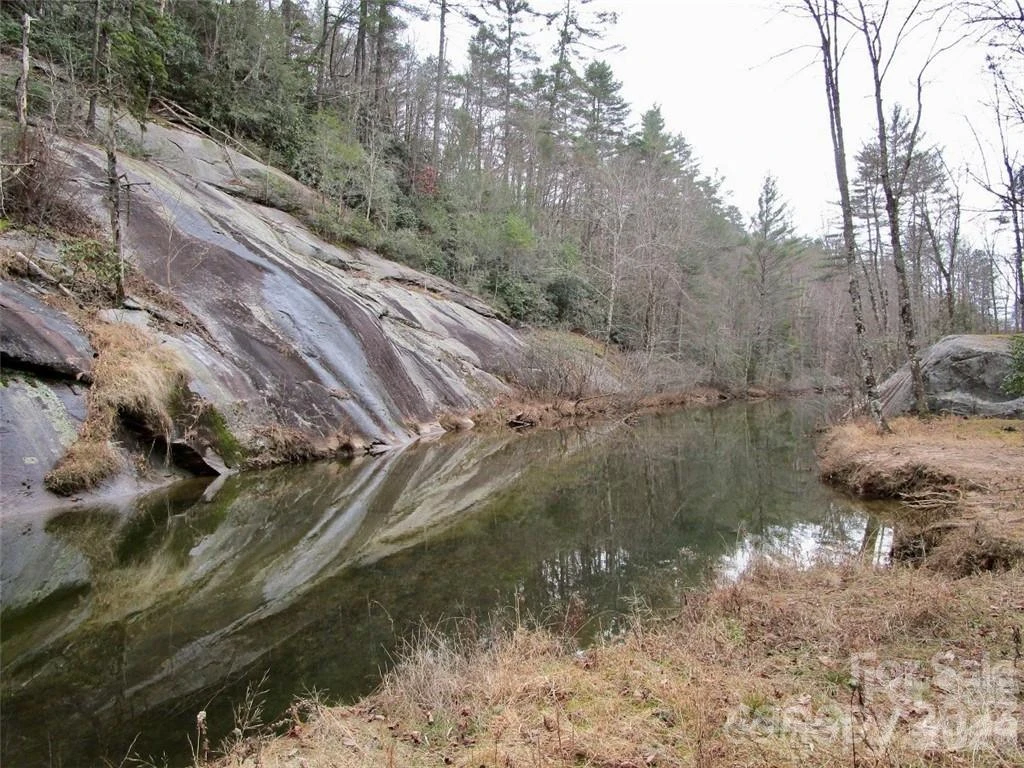 Lot #21 Toxaway Falls Drive - Photo 21