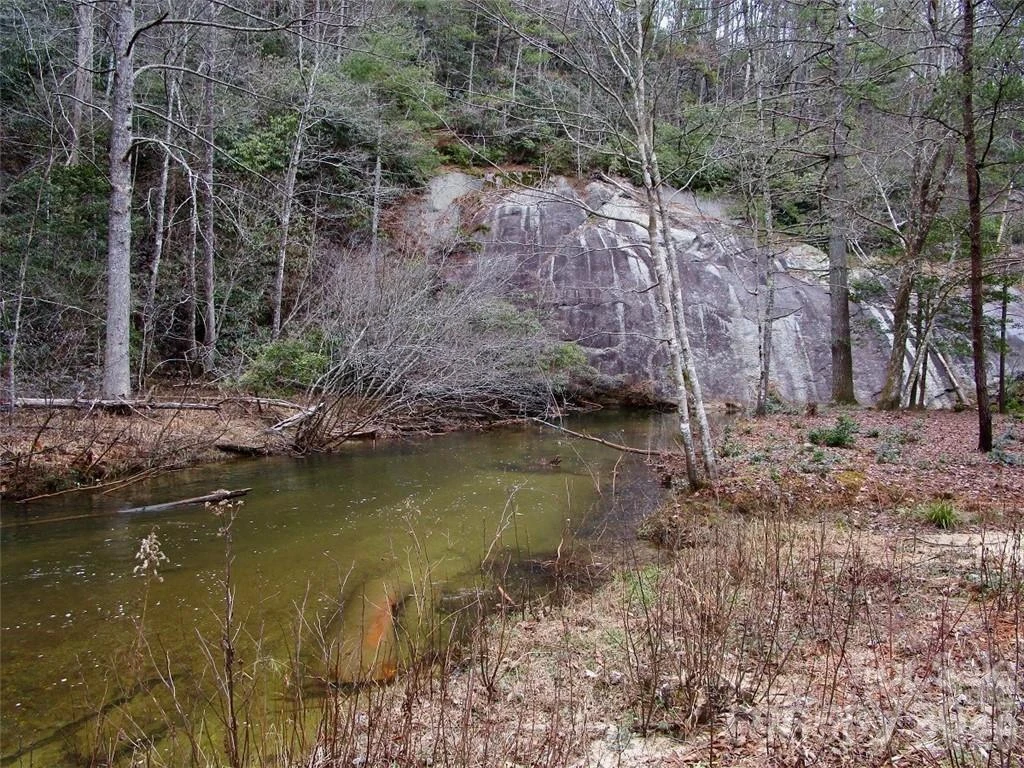 Lot #21 Toxaway Falls Drive - Photo 22