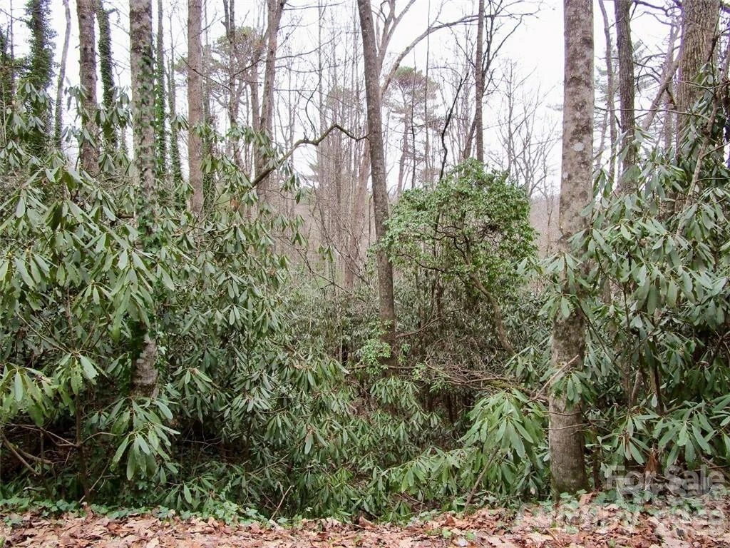 Lot #22 Toxaway Falls Drive - Photo 11