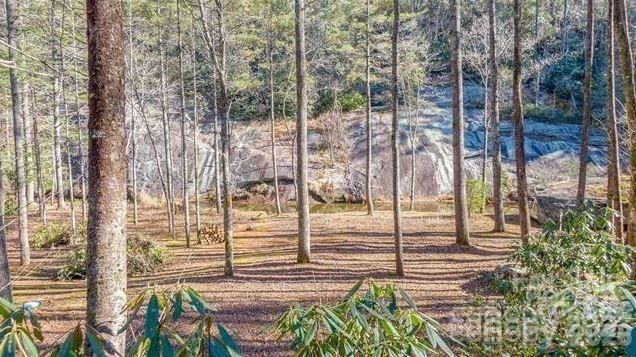 Lot #22 Toxaway Falls Drive - Photo 15
