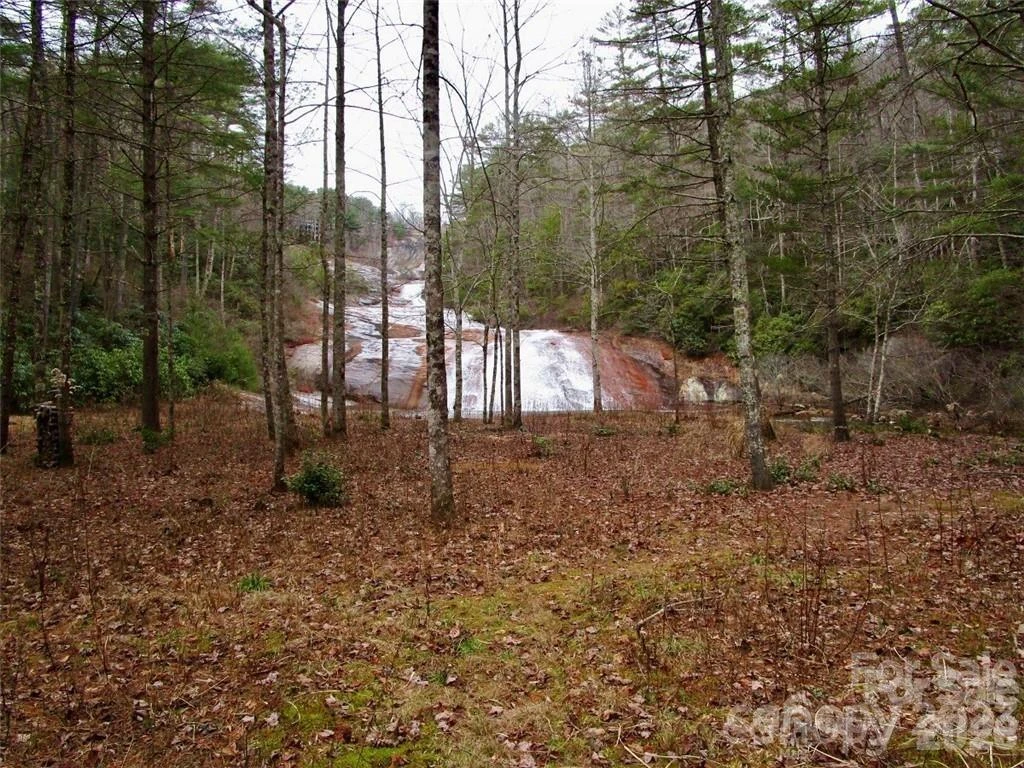 Lot #22 Toxaway Falls Drive - Photo 23