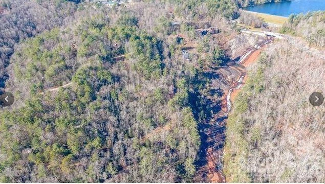 Lot #22 Toxaway Falls Drive - Photo 9