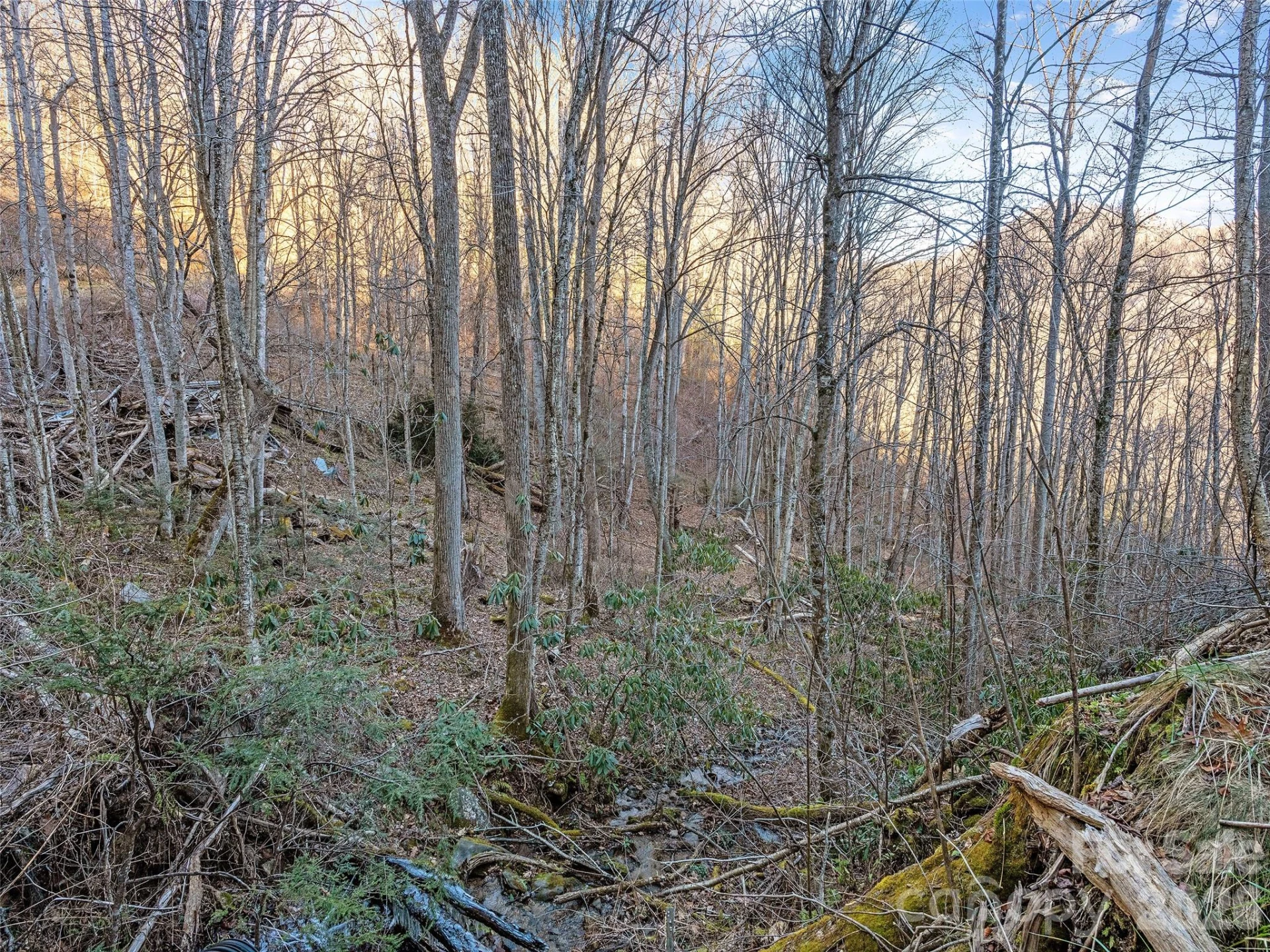 00 NC 209 Highway - Photo 8