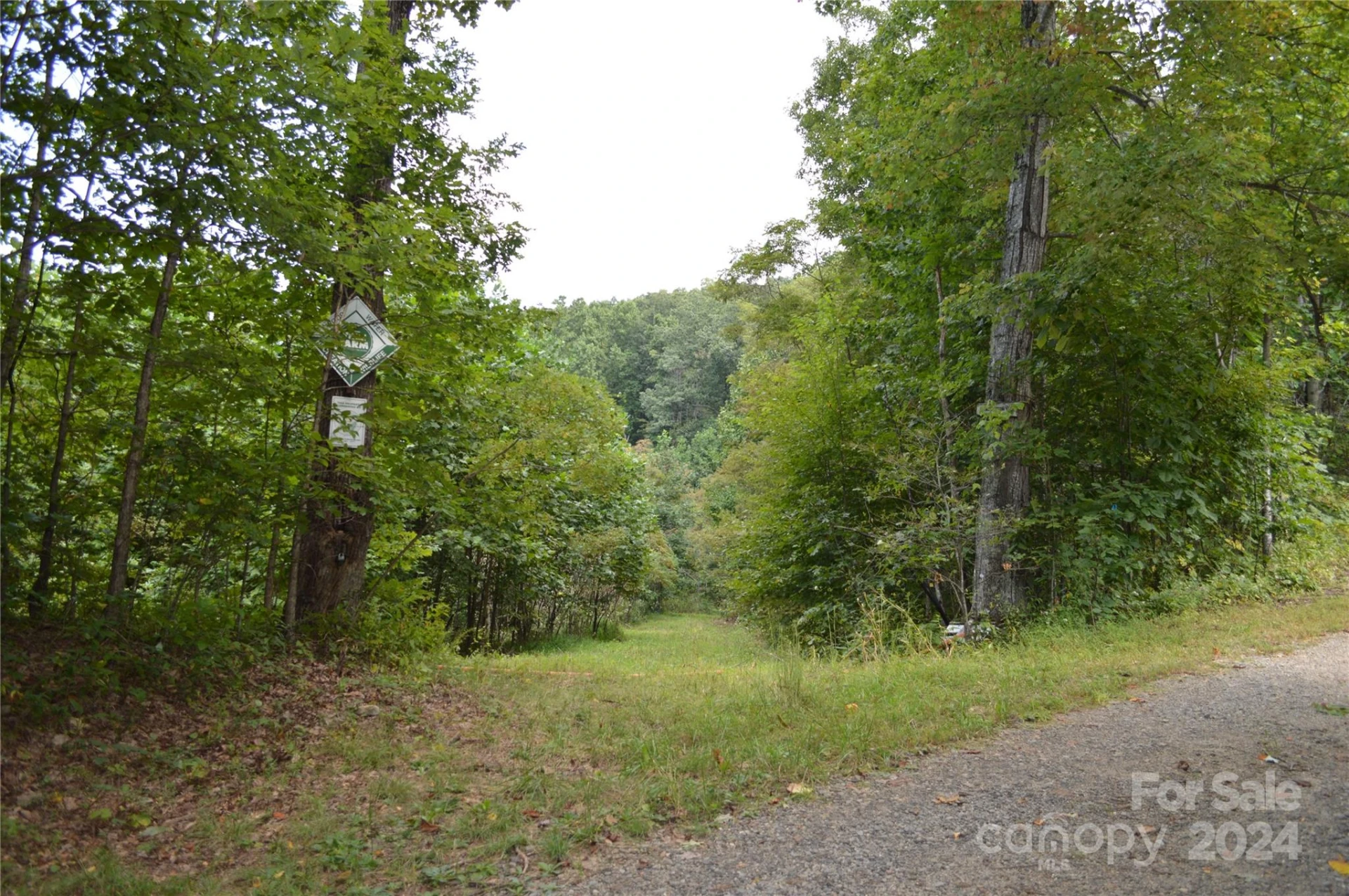 9999 Still Spring Road - Photo 6