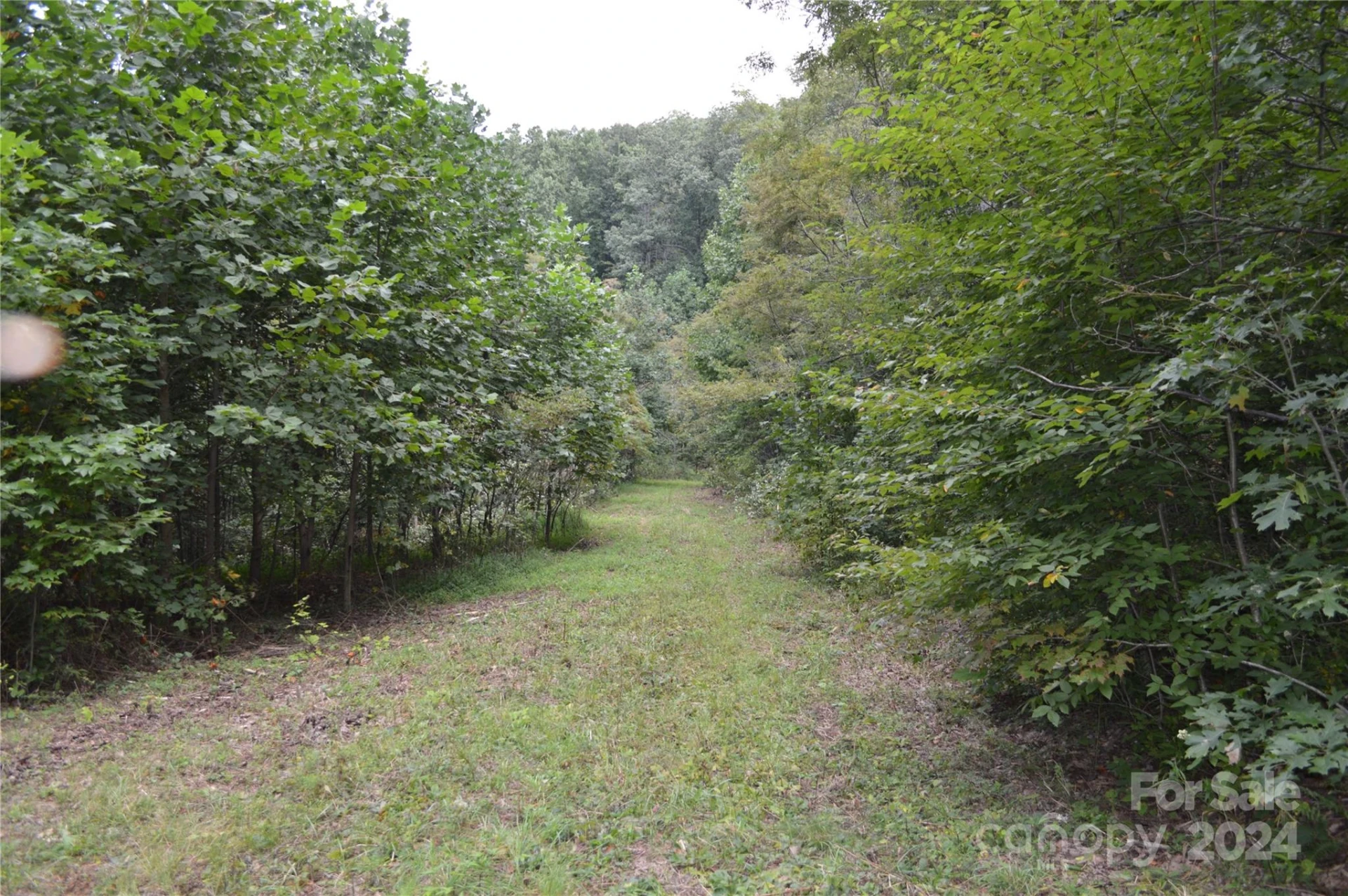 9999 Still Spring Road - Photo 7