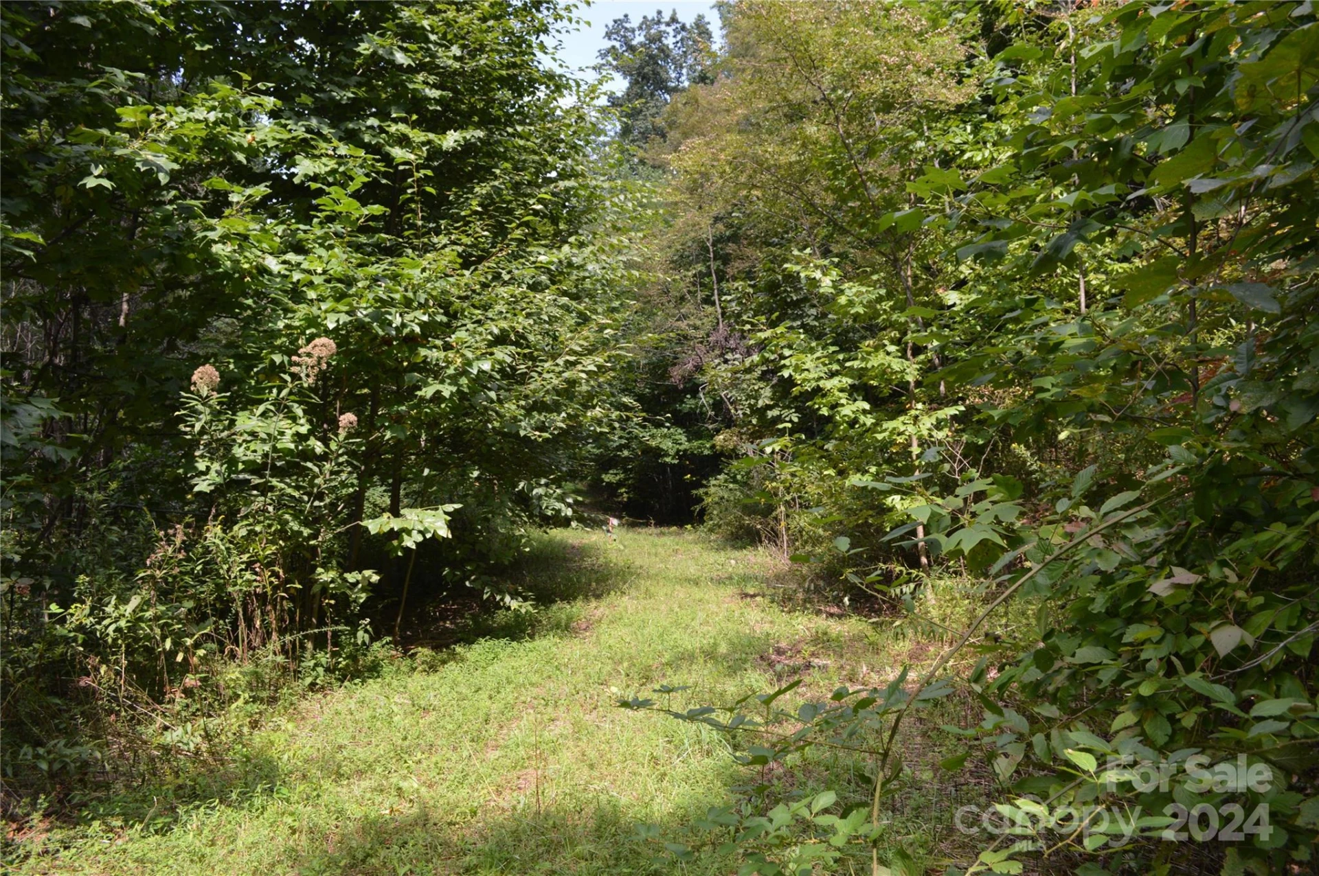 9999 Still Spring Road #Lot 4 - Photo 5