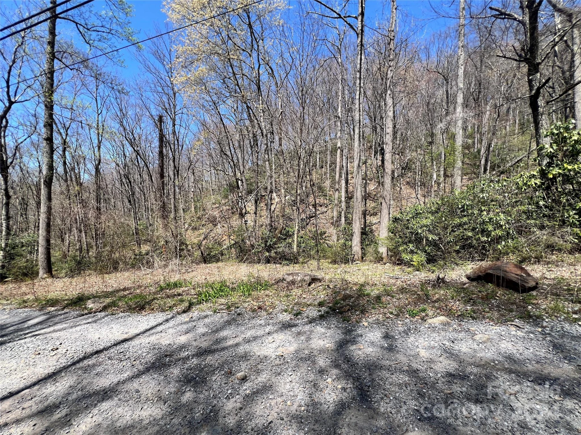 000 Pisgah Mountain Road - Photo 4