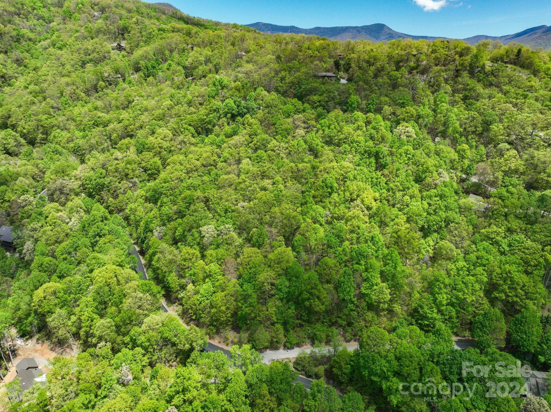 99999 Winding Poplar Road #909 - Photo 2