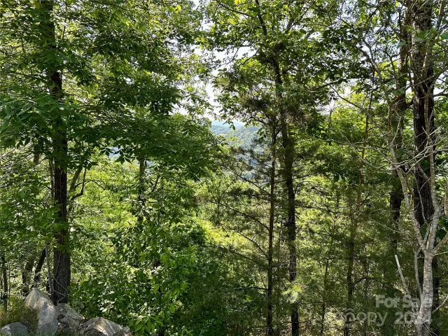 387 Wild River Run