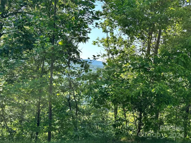 385 Wild River Run