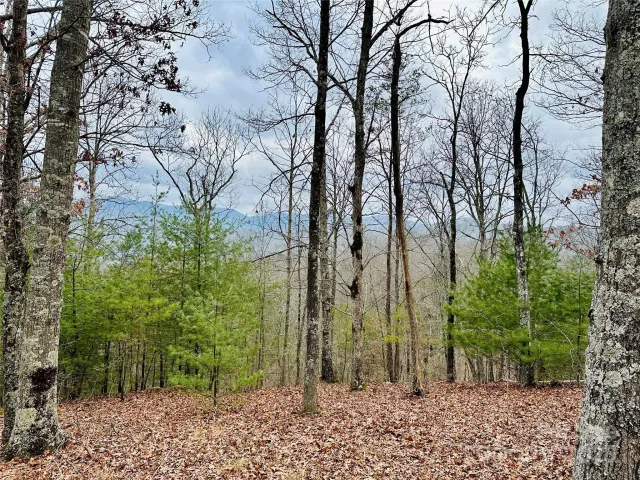 275 Raccoon Run