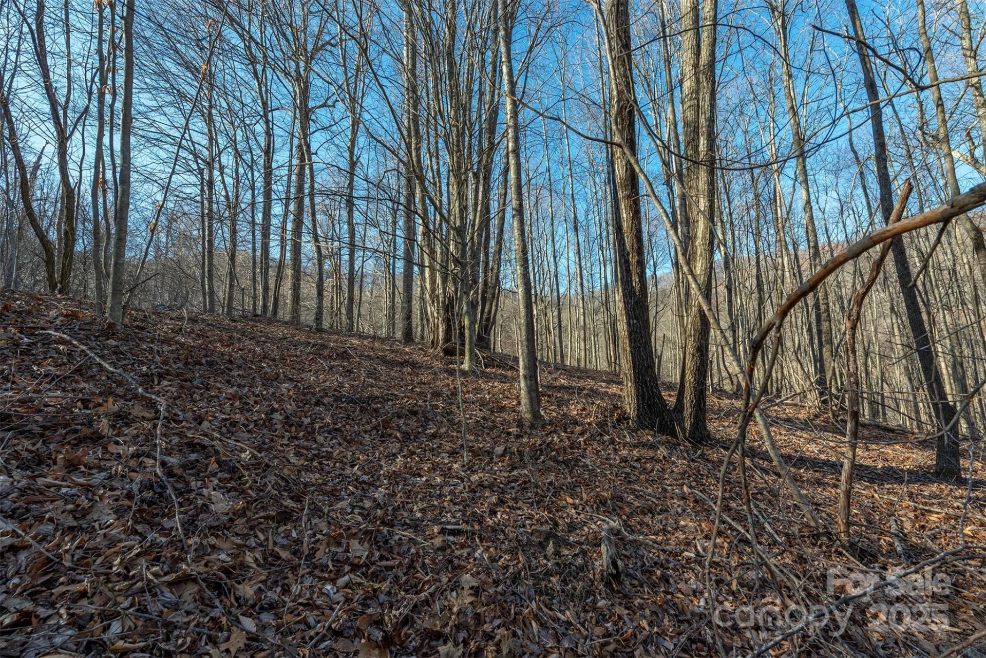 885 Stoney Stream Lane - Photo 11