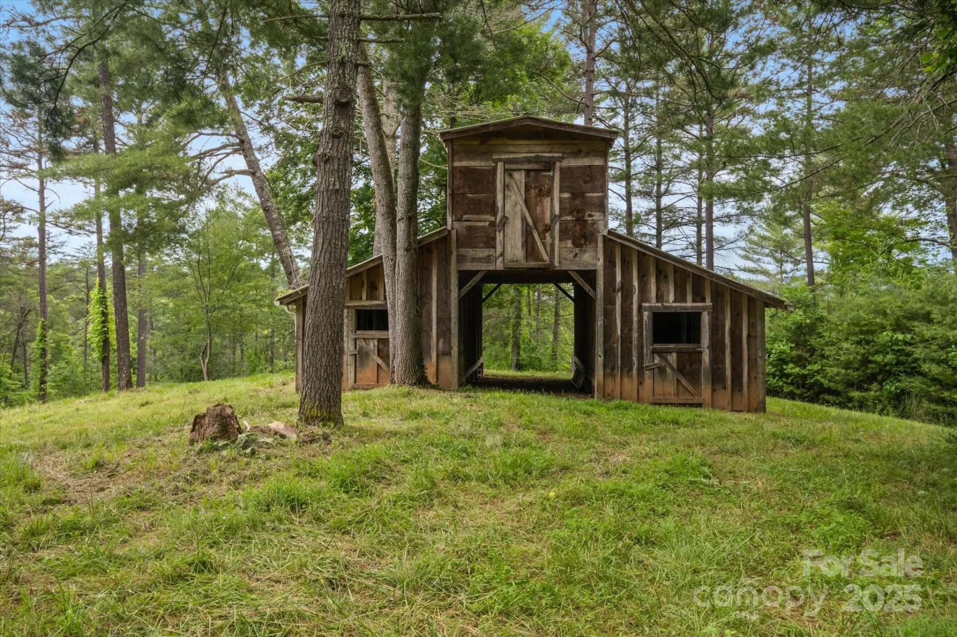 942 Paint Fork Road - Photo 5