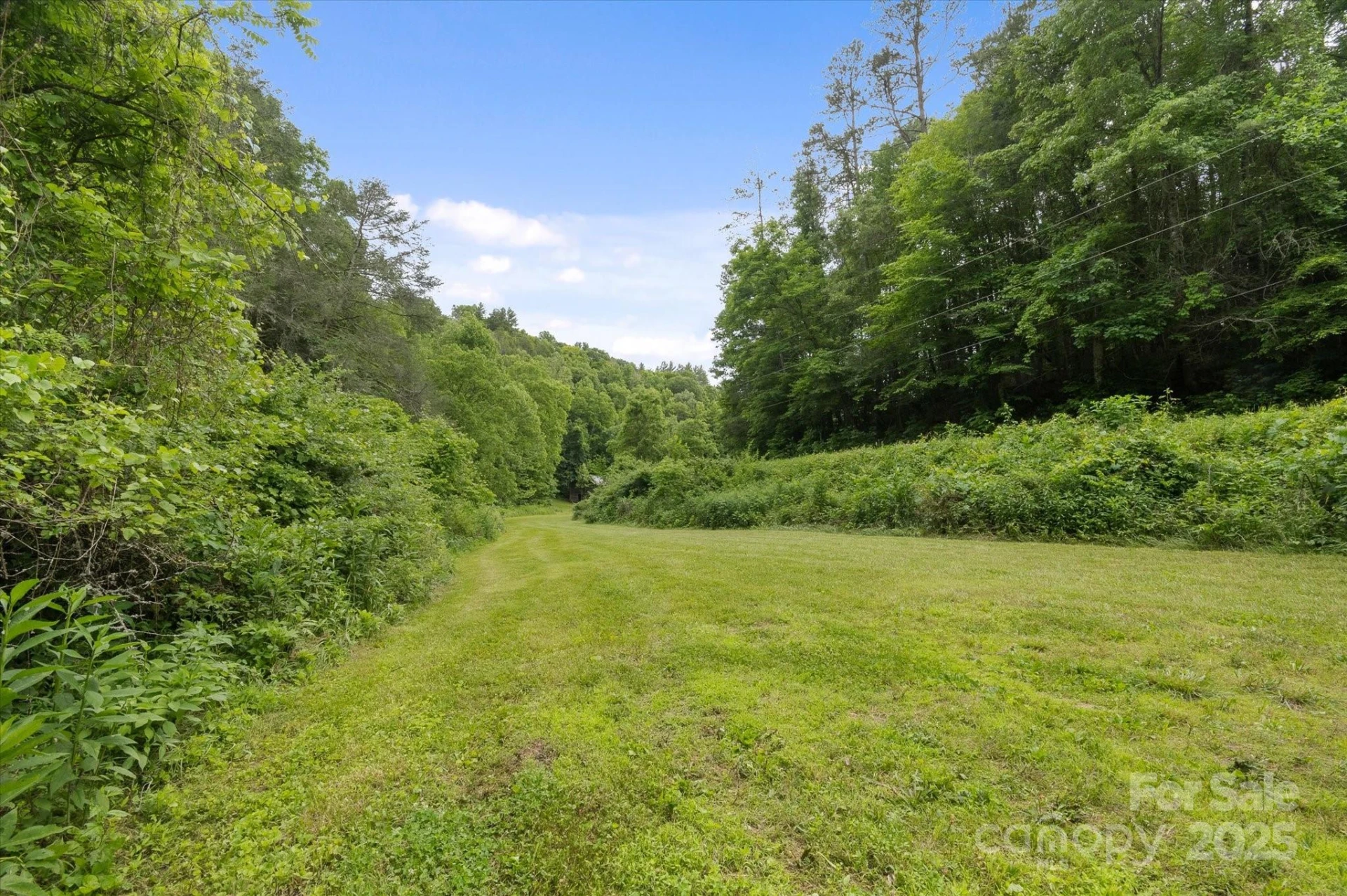 942 Paint Fork Road - Photo 41