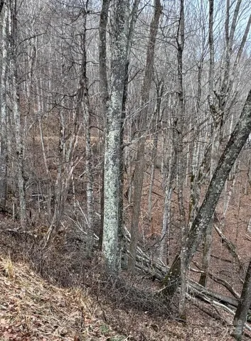00 Spring Brook Drive