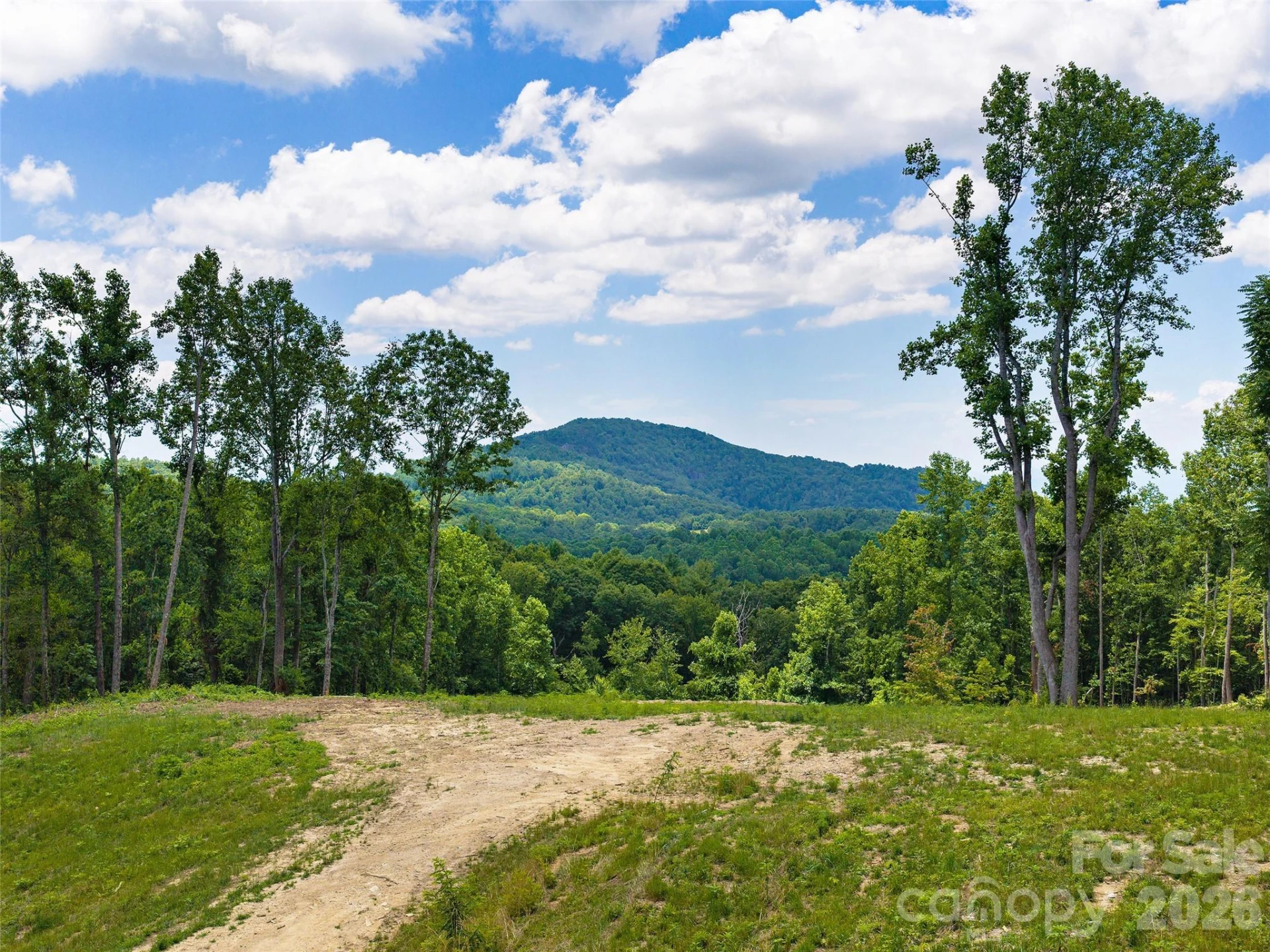 620 Dancing Bear Drive #195 - Photo 4