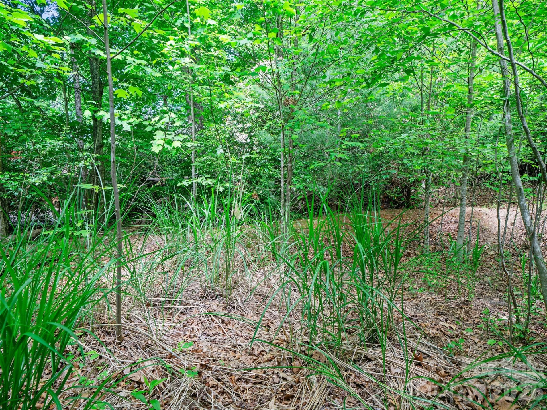 99999 Millbrae Loop S - Photo 13