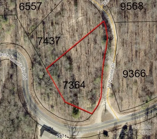 999999 N Pointe Drive, Zirconia, NC, 28790