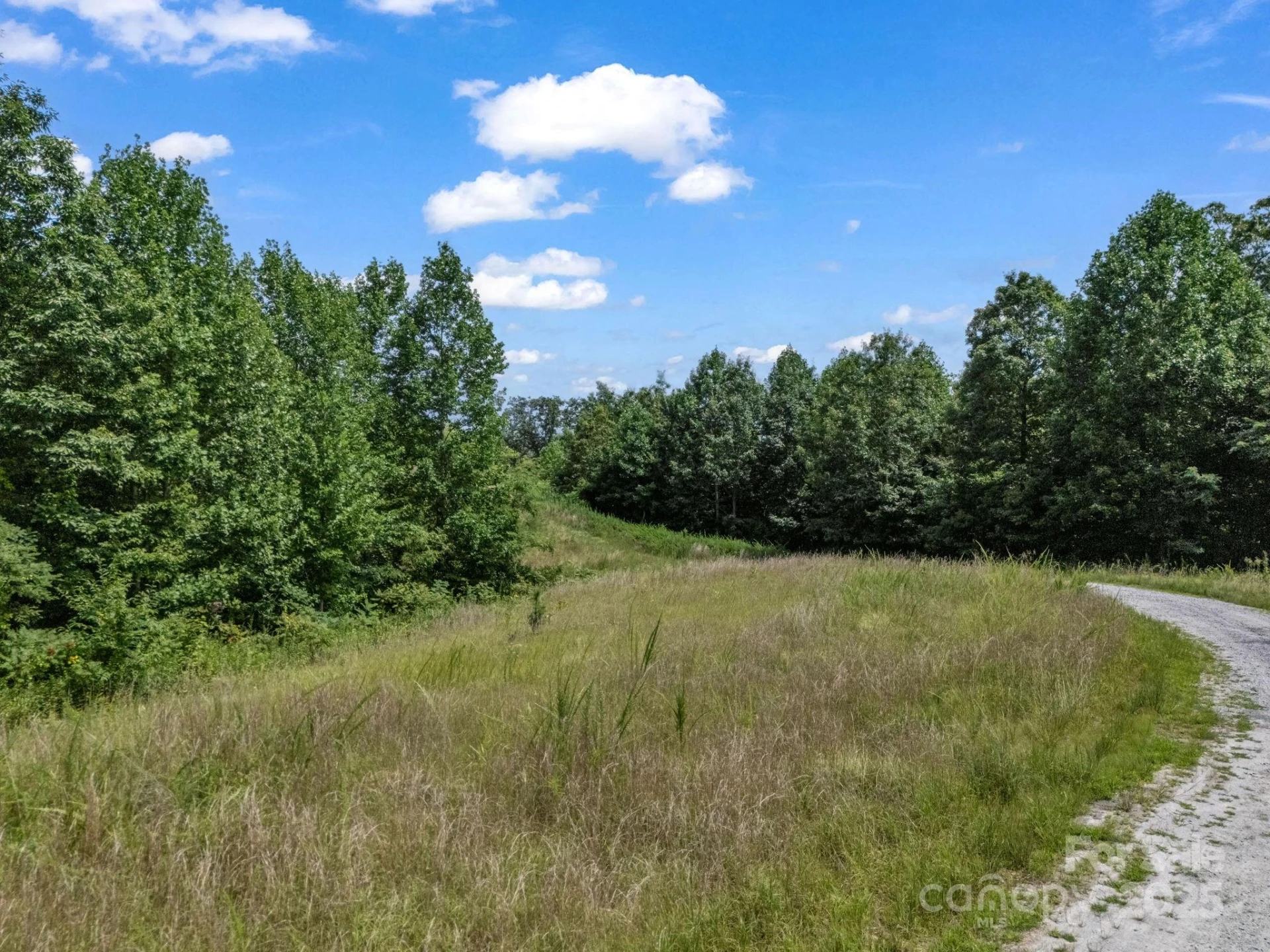 000 Climbing Road - Photo 6