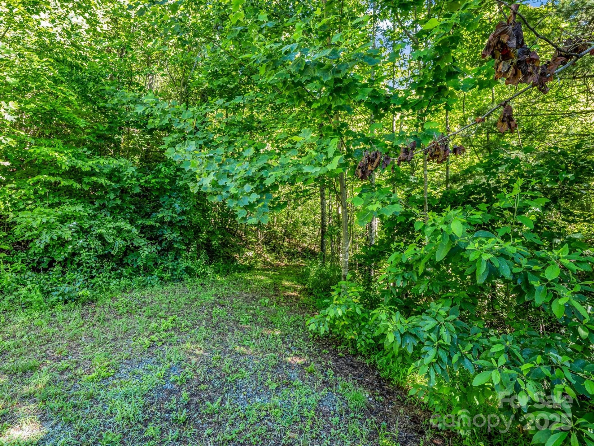 000 Climbing Road - Photo 13