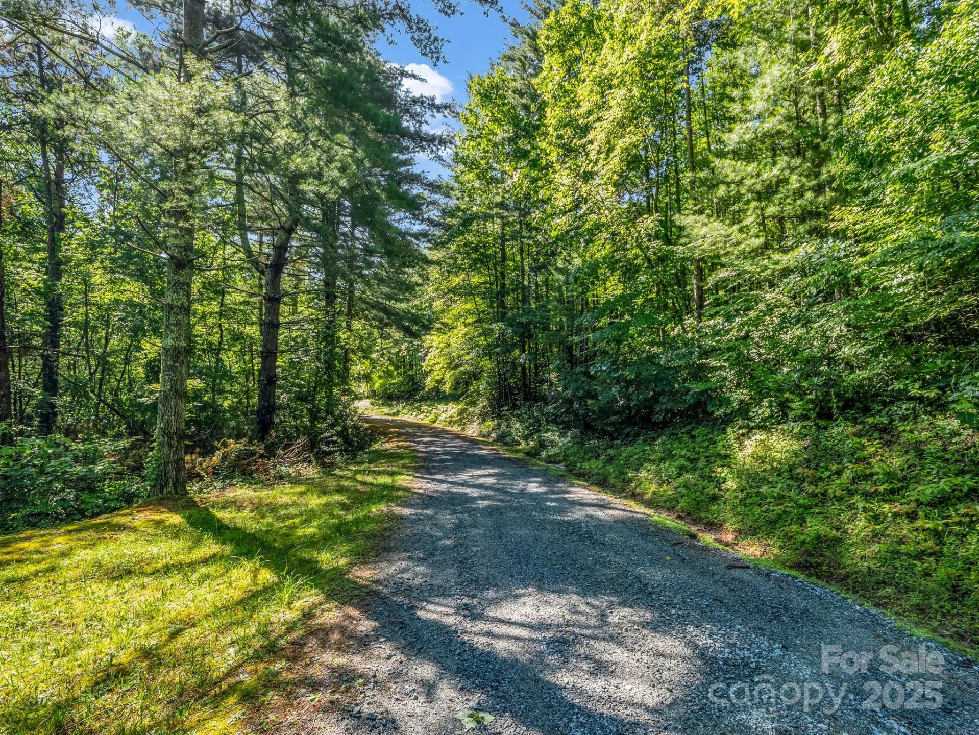 000 Climbing Road - Photo 14