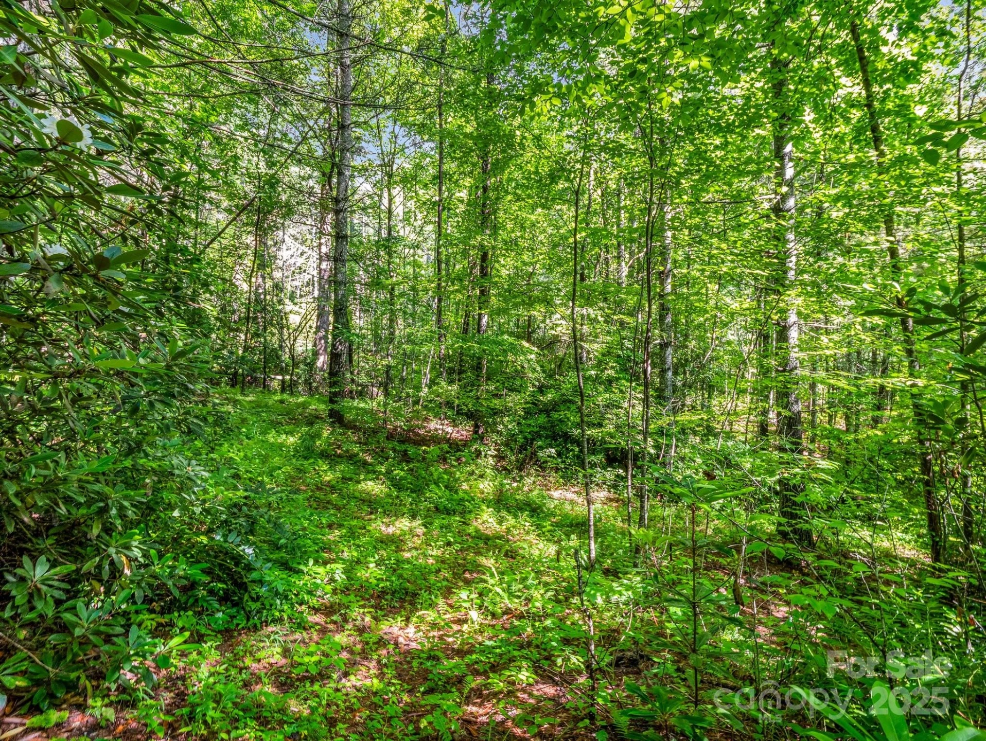 000 Climbing Road - Photo 16