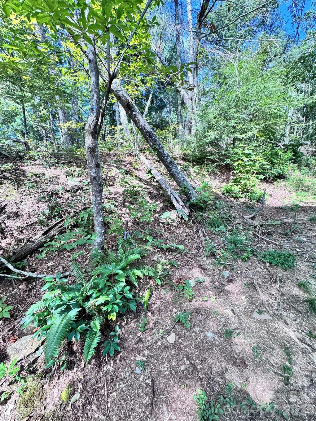 270 S Jarvis Drive - Photo 12