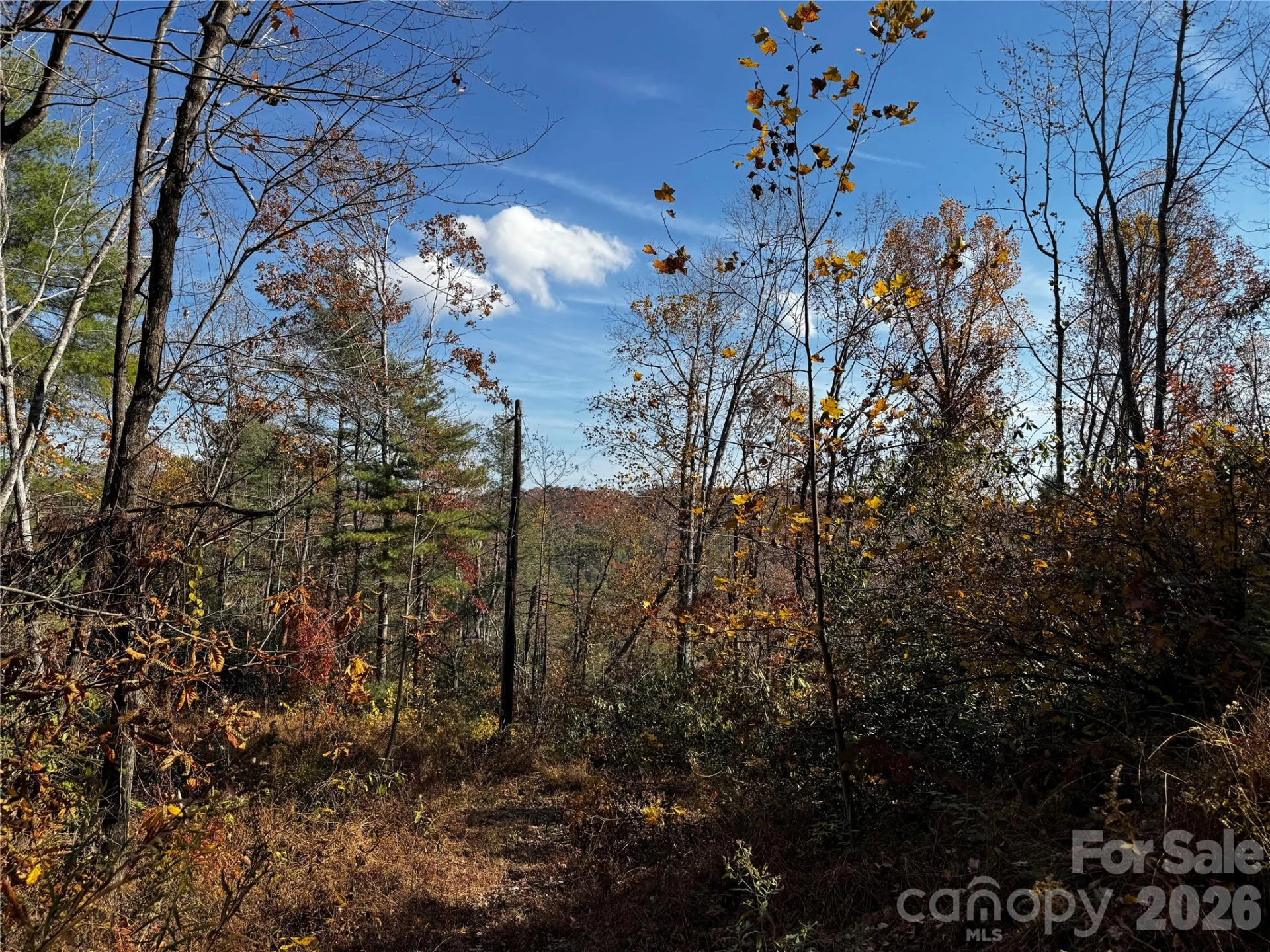 270 S Jarvis Drive - Photo 25