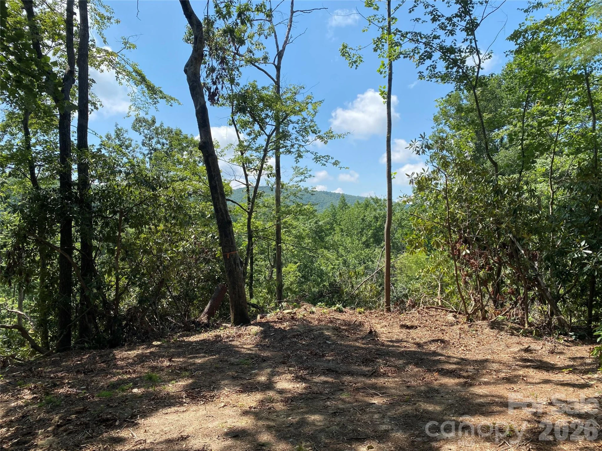 270 S Jarvis Drive - Photo 9