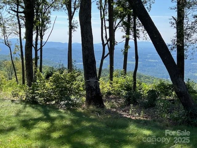 462 E Garden Trail #37 - Photo 3