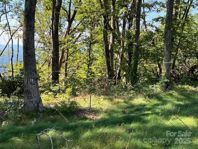 462 E Garden Trail #37 - Photo 5